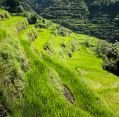 11_127_ph_banaue-batad_003