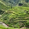 11_127_ph_banaue-batad_010