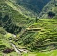 11_127_ph_banaue-batad_011