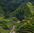 11_127_ph_banaue-batad_015