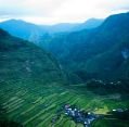 11_127_ph_banaue-batad_029