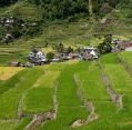 11_127_ph_banaue-batad_037