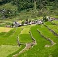 11_127_ph_banaue-batad_044