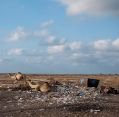 10_082_so_berbera_044