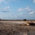 10_082_so_berbera_045