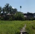11_119_ml_miri_098