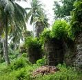 11_124_ph_camiguin_026