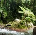 11_124_ph_camiguin_030