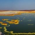 10_079_et_danakil-3_021