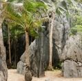 11_126_ph_el-nido_061