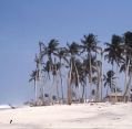 img_1181849802_811