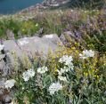 10_021_bh_kotor_008