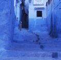 img_1224426033_131_lg