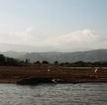 10_084_et_arba-minch_067