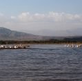 10_084_et_arba-minch_068