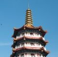 11_119_ml_miri_008