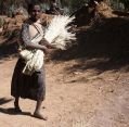 10_075_et_simien_006