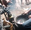 11_115_id_sumba_231
