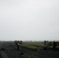 11_113_id_bromo_078