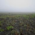 11_113_id_bromo_083