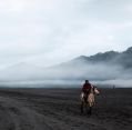 11_113_id_bromo_107