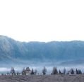 11_113_id_bromo_125