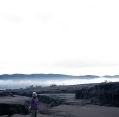 11_113_id_bromo_126