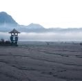 11_113_id_bromo_139