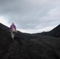 11_113_id_bromo_156