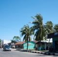 11_116_id_timor_025