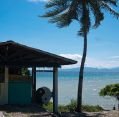 11_116_id_timor_026