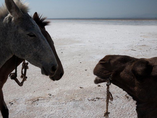 10_079_ET_Danakil-3_007
