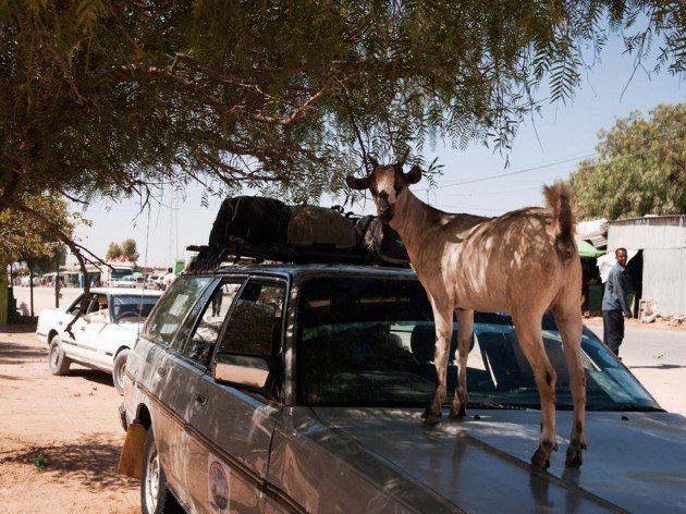 10_081_SO_Hargeisa_008